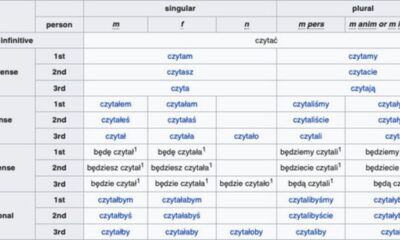 Understanding exotic pronouns : A Guide to Inclusive Language