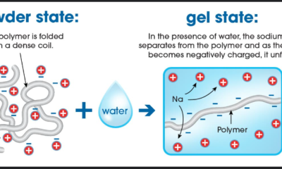 Biodegradable Super Absorbent Polymers: A Green Solution for Water Conservation