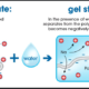 Biodegradable Super Absorbent Polymers: A Green Solution for Water Conservation