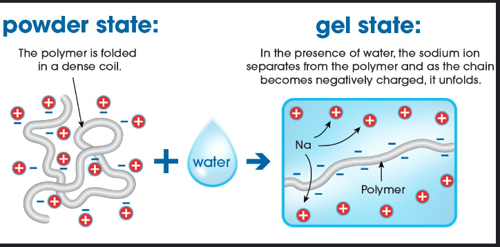 Biodegradable Super Absorbent Polymers: A Green Solution for Water Conservation