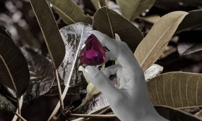 The Art and Science of Selecting Loose Gems