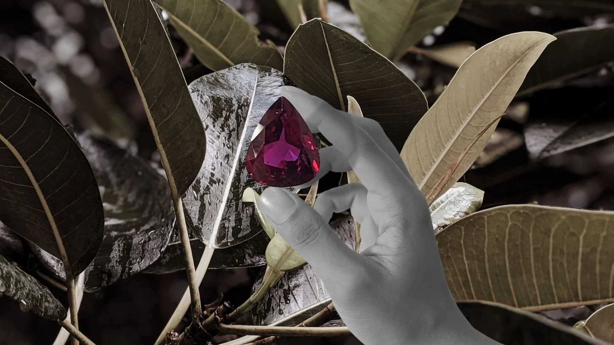 The Art and Science of Selecting Loose Gems