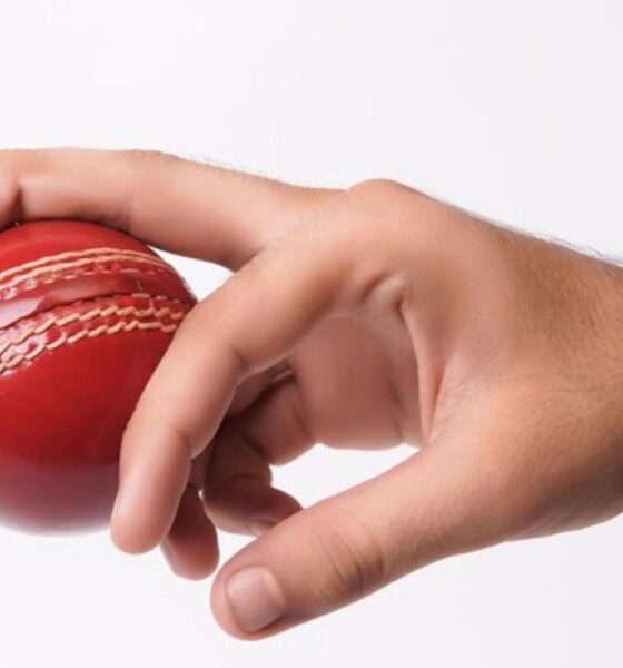 Top Features of touchcric Every Cricket Fan Should Know About