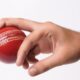 Top Features of touchcric Every Cricket Fan Should Know About