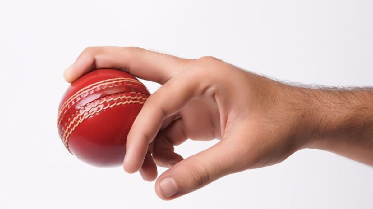 Top Features of touchcric Every Cricket Fan Should Know About