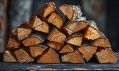 Timtum halev firewood: A Guide to Selection and Usage